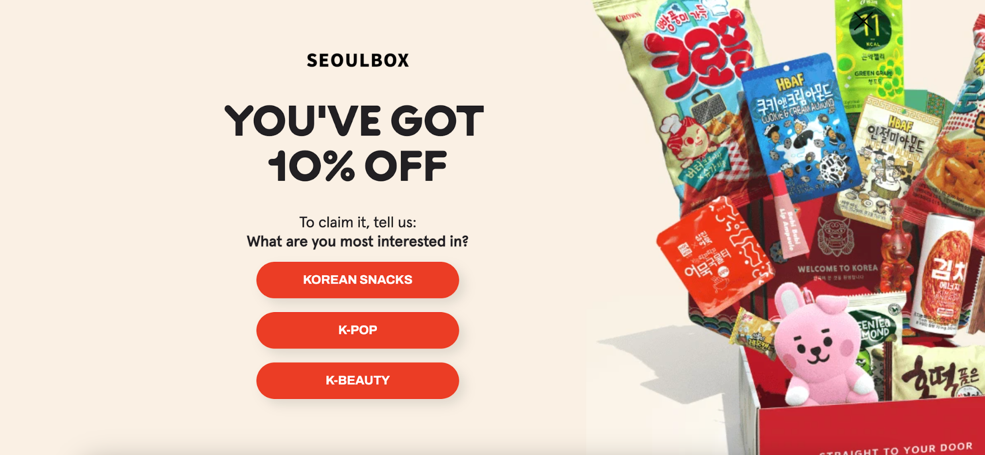 seoulbox popup for abandoning website visitors